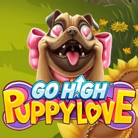 game logo by RubyPlay on priced-up-casino.uk